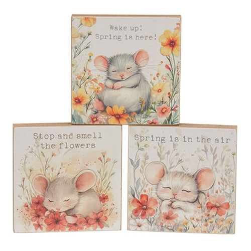 Sleeping Mouse Floral Block - 3 Asstd