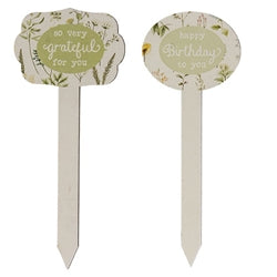 Gifting Plant Poke - 4 Asstd