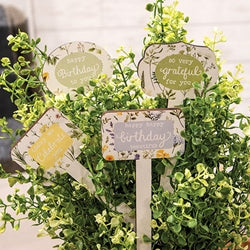 Gifting Plant Poke - 4 Asstd