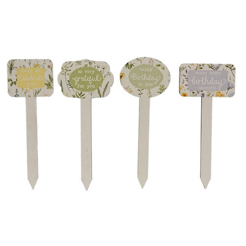 Gifting Plant Poke - 4 Asstd