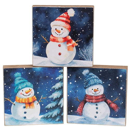 Midnight Snowman 4" Square Block - 3 Asstd.