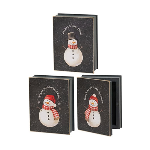 Winter's Night Snowman Book Box - 3 Asstd.