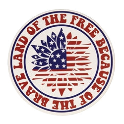 Land of the Free Magnet - 3 Asstd.