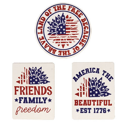 Land of the Free Magnet - 3 Asstd.