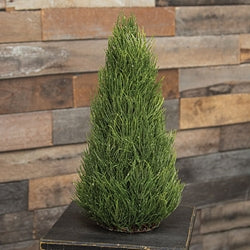 Glittered Long Needle Cone Tree - 17"H