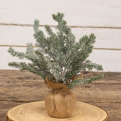 Snowy Silver Bells Pine Tree in Burlap Base - 12"H