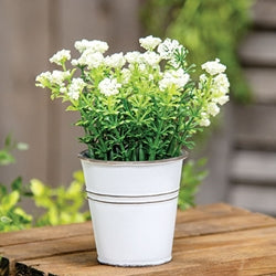 White Astilbe Flowers in White Metal Garden Bucket
