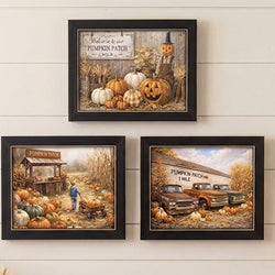 Welcome To Our Patch Framed Print - 8x10 - 3 Asstd.