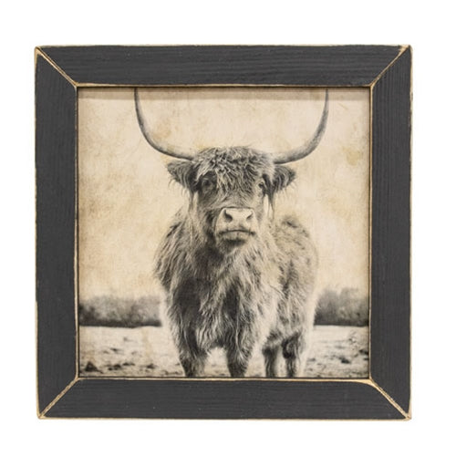 Denny the Highland Framed Print - 12x12