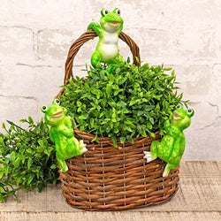Resin Garden Frog Planter Hanger - 3 Asstd.
