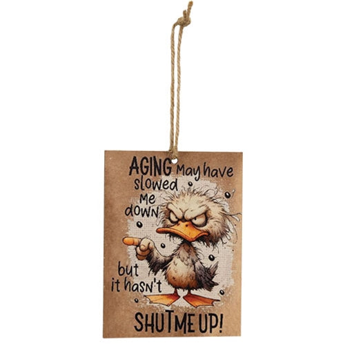Aging May Have Slowed Me Down Rectangle Ornament