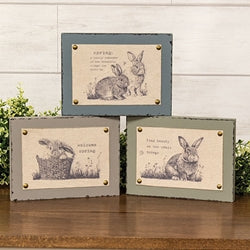 Spring Bunny Fabric Print Block - 3 Asstd.