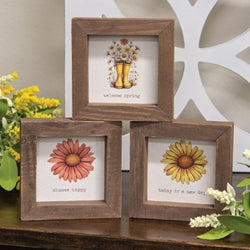 Daisy Framed Sign - 3 Asstd