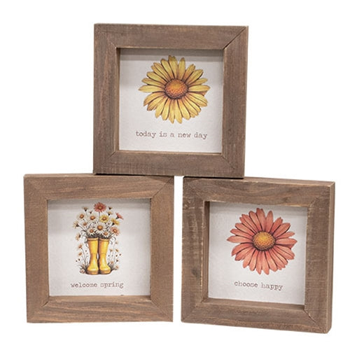 Daisy Framed Sign - 3 Asstd