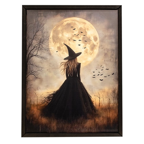 Enchanting Moon Witch Box Frame - 18x24