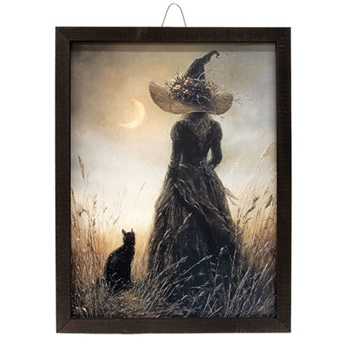 Moonlit Watchers Box Frame - 12x16