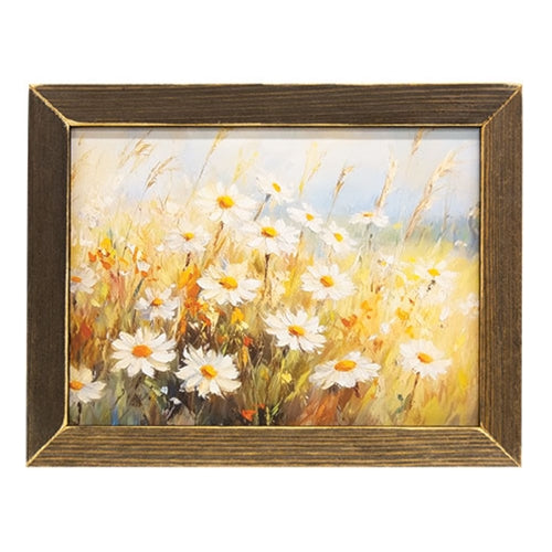 Sunlit Daisies Framed Print - 16"x12"