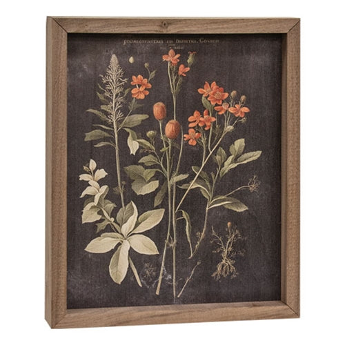 Vintage Orange Floral Framed Print