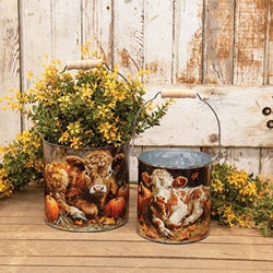 2/Set - Pumpkin Patch Highland Metal Buckets
