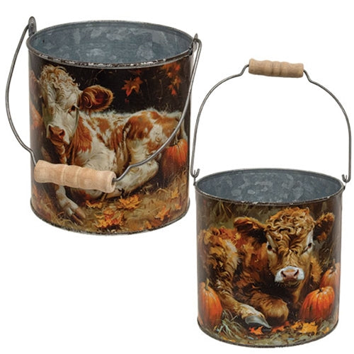 2/Set - Pumpkin Patch Highland Metal Buckets