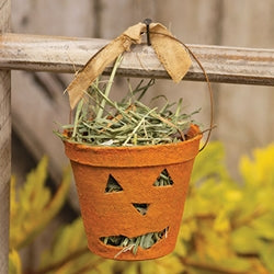 Jack O Lantern Planter w/Prairie Grass - 3"H