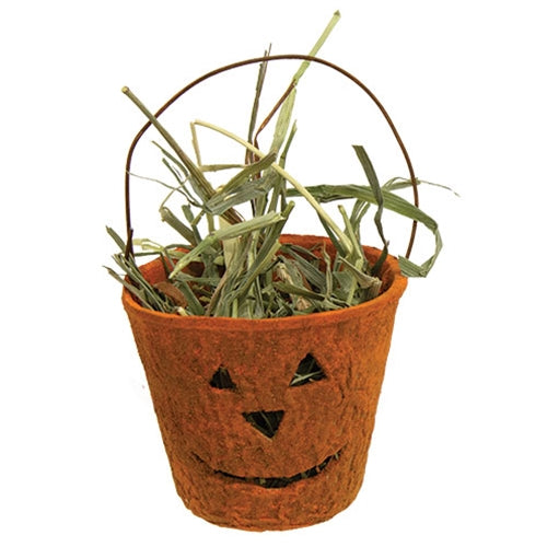 Jack O Lantern Planter w/Prairie Grass - 2.25"H