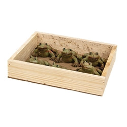 6/Set - Distressed Resin Frogs With Wooden Crate