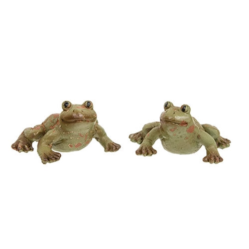 6/Set - Distressed Resin Frogs With Wooden Crate