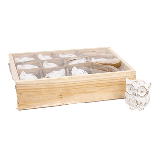 12/Set - Little Whitewashed Resin Owls With Wooden Crate