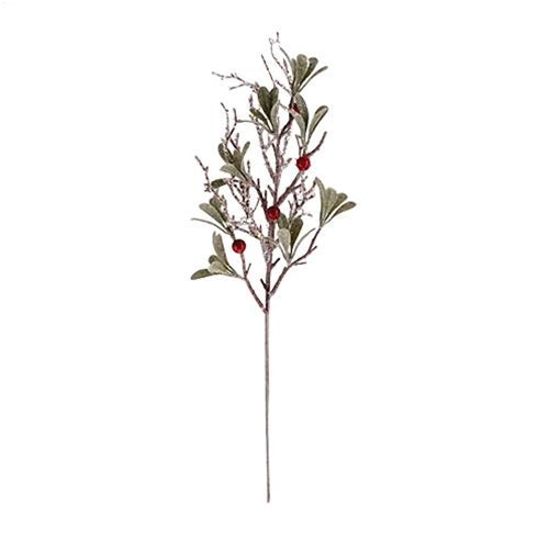 Holly Leaves and Berry Spray