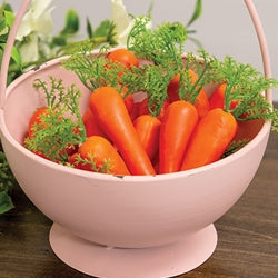 20/set Decorative Carrots in Mesh Bag