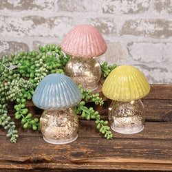 Pastel Glow Mushroom 3 Asstd.