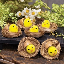 6/Set - Hatching Chicks in Nests