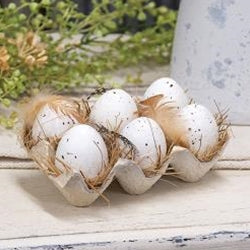 6/Set Natural Speckled Eggs in Crate