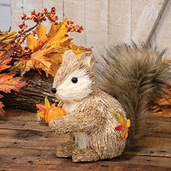 Sisal Fall Squirrel