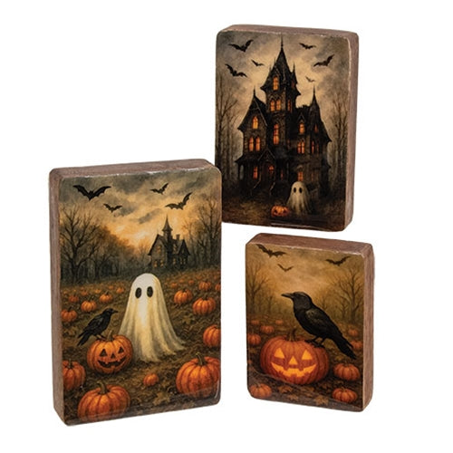 3/Set - Haunted Epoxy & Wood Blocks