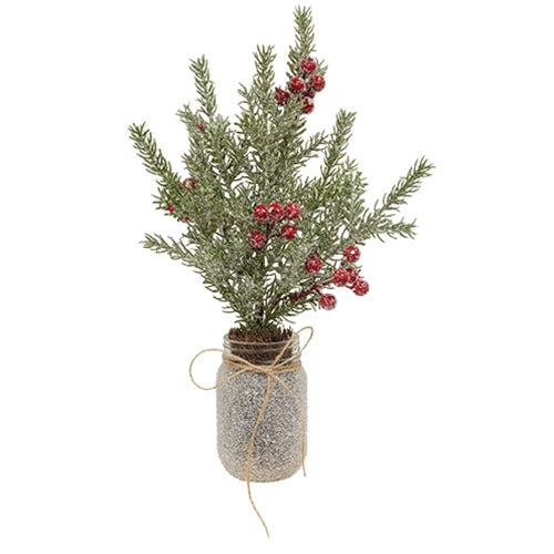 Icy Memories Mixed Pine & Berries Spray In Jar