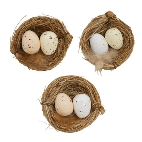 6/Set Natural Eggs in Nests