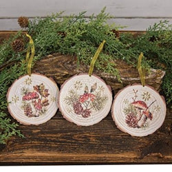 Woodland Mushrooms Wood Slice Ornament - 3 Asstd