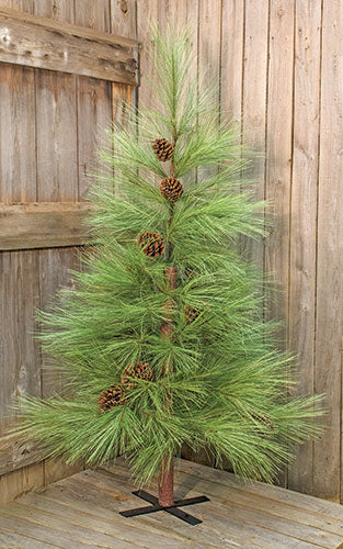 Long Needle Pine Tree 6 ft