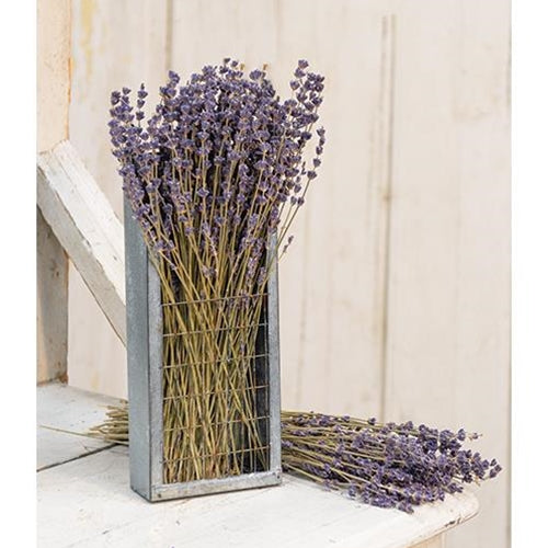 Dried Lavender Bunch 13"