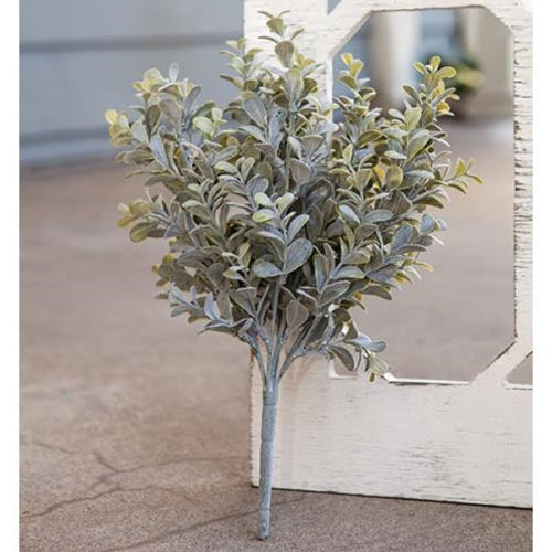 Pebble Eucalyptus Bush 14"