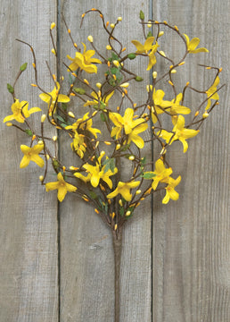 Star Forsythia Spray 18"