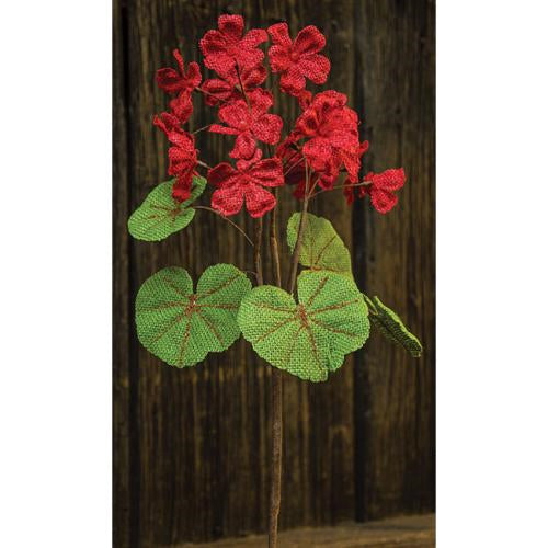 Red Burlap Geranium Bush