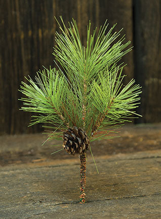 Tahoe Needle Pine Pick