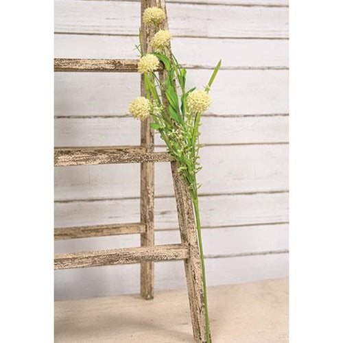 Thistle Heather Ball Spray Cream