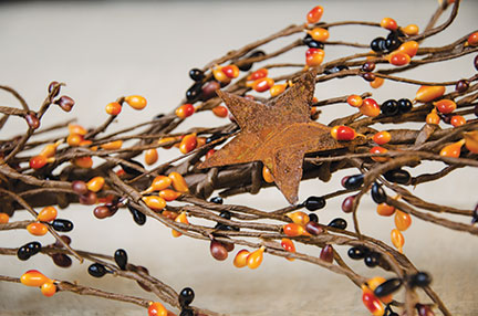 Pip Berry Garland With Stars Primitive Mix 40"