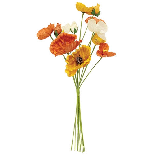 Orange Cream & Yellow Poppy Bush