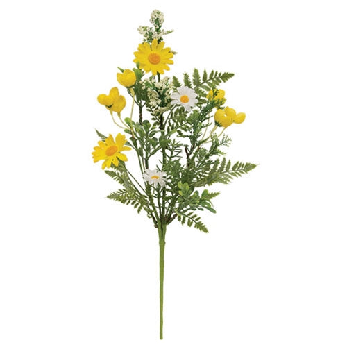Yellow & White Daisy w/Ferns Bush
