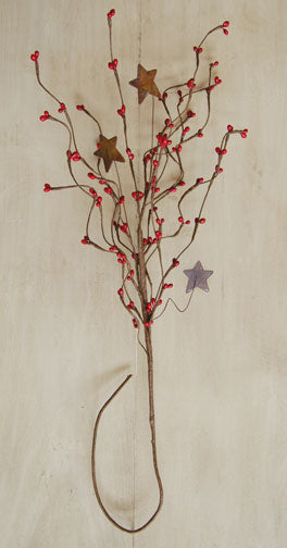 Red Pip & Star Spray 24"